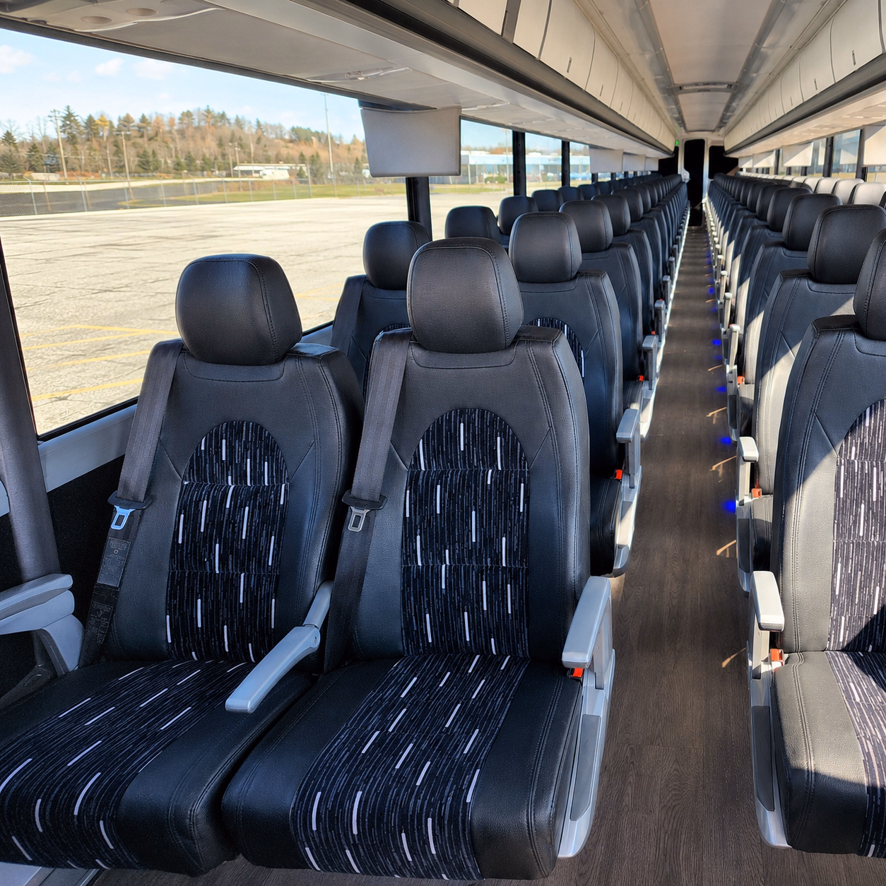 school buses for fresno chaffee zoo field trips from clovis